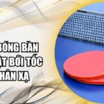 Cá cược bóng bàn Fi88